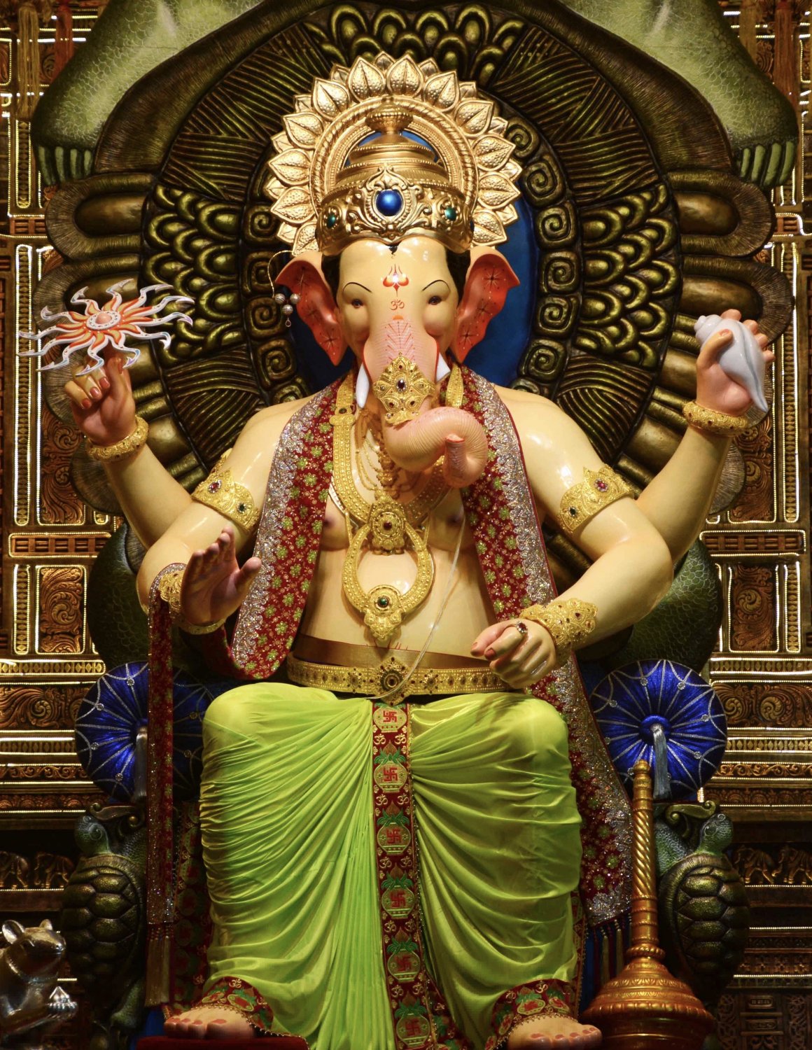 Ganesha Blockage Remover