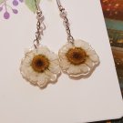 Real dried flower earrings, small daisy jewelry, Pressed chrysanthemum