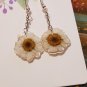 Real dried flower earrings, small daisy jewelry, Pressed chrysanthemum