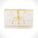 Authentic 'Bat Skeleton' Resin Paperweight/Display
