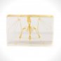 Authentic 'Bat Skeleton' Resin Paperweight/Display