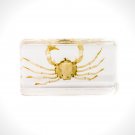 Authentic 'Spider Crab' Resin Paperweight/Display