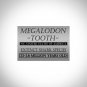Megalodon Shark Tooth - Authentic Huge 5""-7"" Fossilized Megalodon Shark Tooth Custom Museum Displa