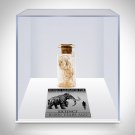 Woolly Mammoth Hair - Authentic Woolly Mammoth Hair Custom Museum Display