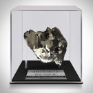 Authentic Campo Del Cielo Meteorite From 1500-2500 Bc Custom Museum Display