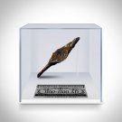 Arrowhead - Medieval Crusader Arrowhead From 1100-1300AD Custom Museum Display