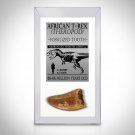 Tyrannosaurus Rex Tooth - Authentic Fossilized African Tyrannosaurus Rex Tooth Custom Museum Display