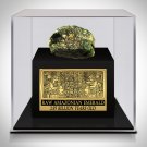 Amazonian Emerald - Authentic 2.97 Billion Years Old Raw Amazonian Emerald Custom Museum Display