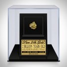Gold Bearing Quartz Nugget - Authentic Pure Gold Bearing Quartz Nugget Custom Museum Display
