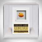 Baltic Amber Fossil- 125-135 Million Years Old Baltic Amber Fossil & Insect Inclusion Museum Display