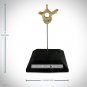 Human Vertebrae - Authentic Human Vertebrae Display Stand