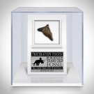 Triceratops Tooth Fossil- 68-66 Million Years Old Fossilized Triceratops Tooth Custom Museum Display
