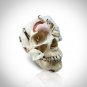 Human Skull - Authentic Human Skull Anatomical Preparation with Custom Case