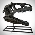 Allosaurus Dinosaur Museum Cast Skull Display Mount