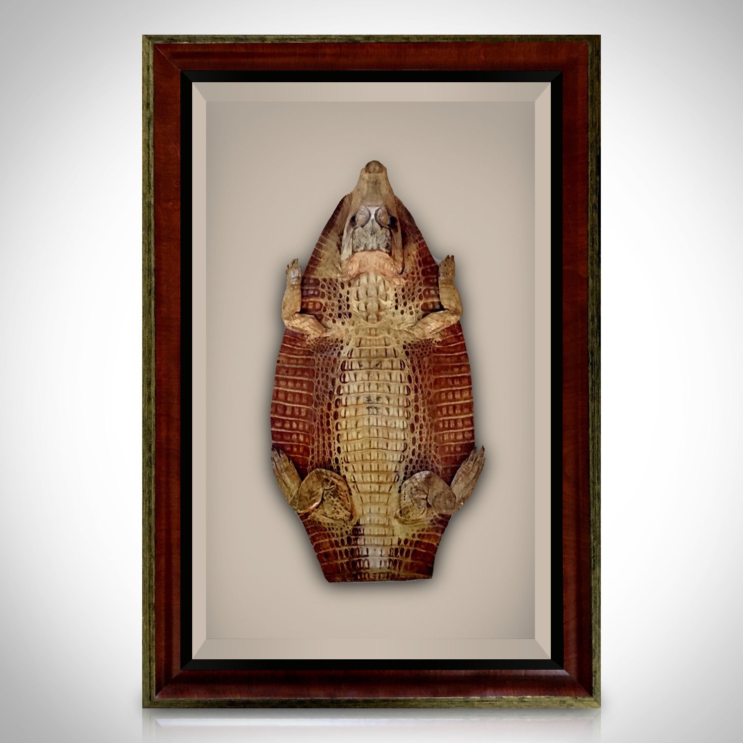 Alligator Hide-  Authentic Vintage Alligator Hide Custom Frame