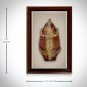 Alligator Hide- Authentic Vintage Alligator Hide Custom Frame