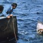 Jaws- Hand-Painted Glazed Great White Shark Ceramic Statue Signed by Canadian Artist Mr Bond
