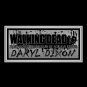 Walking Dead- Daryl Dixon Holding Tomahawk Hand-Signed Photo By Norman Reedus Custom Frame