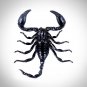 Scorpion - Palamnaersus Custom Frame