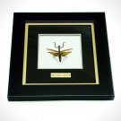 Praying Mantis Large Rare-T Exclusive Custom Table/Wall Frame
