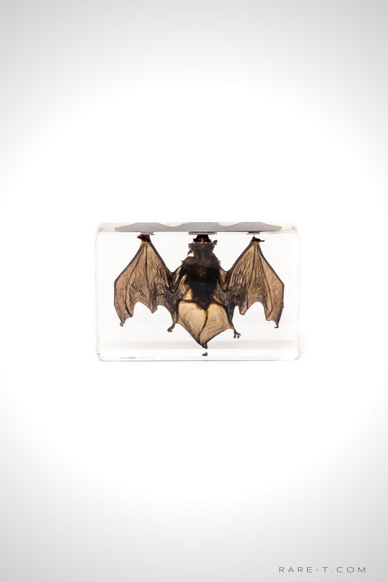 Authentic 'Bat' Resin Paperweight/Display