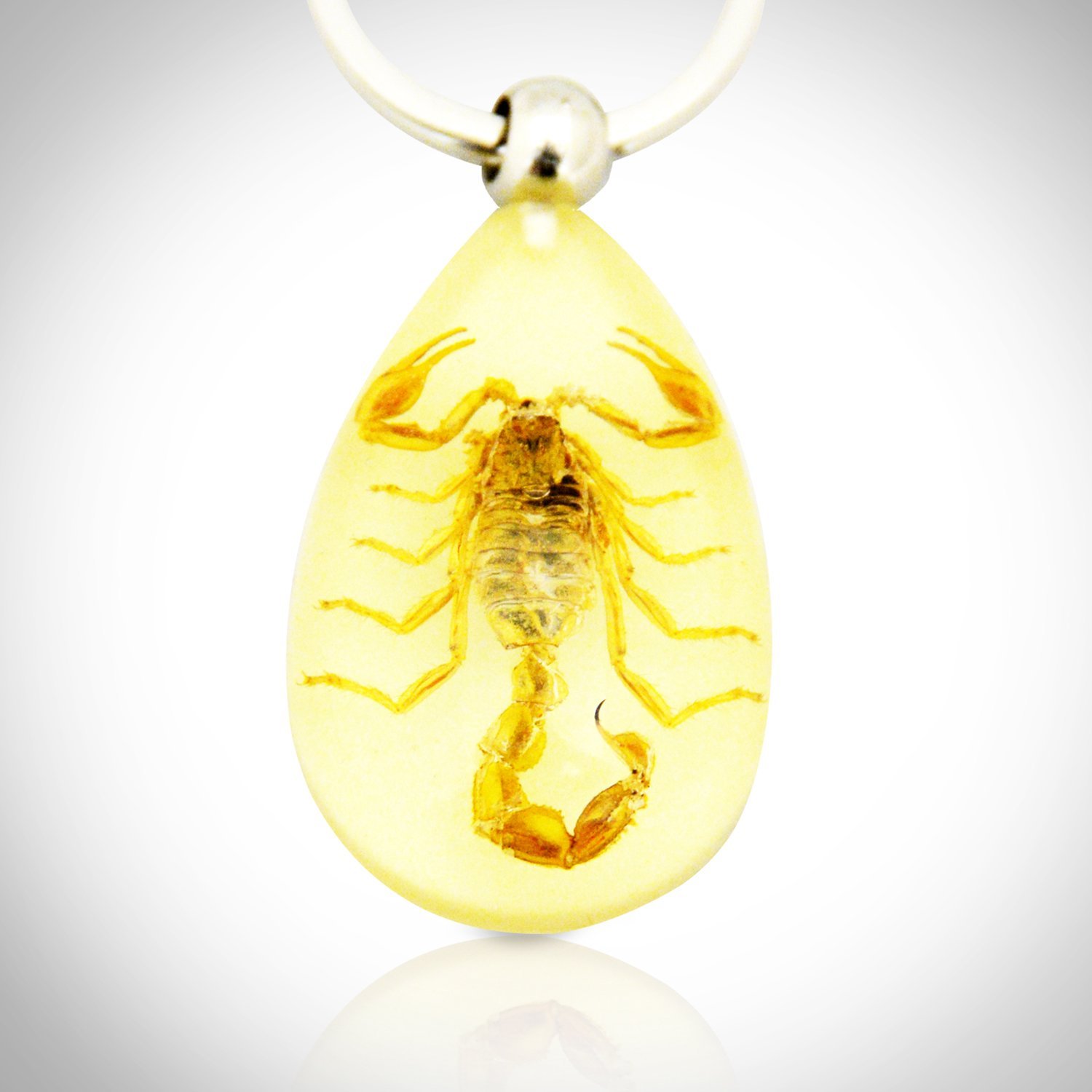 Authentic 'Golden Scorpion' Keychain