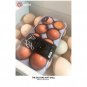 iPhone case for iphone11/X/Max/8/SE