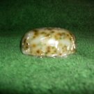Peppermint Refreshment Bar Wtih dried peppermint