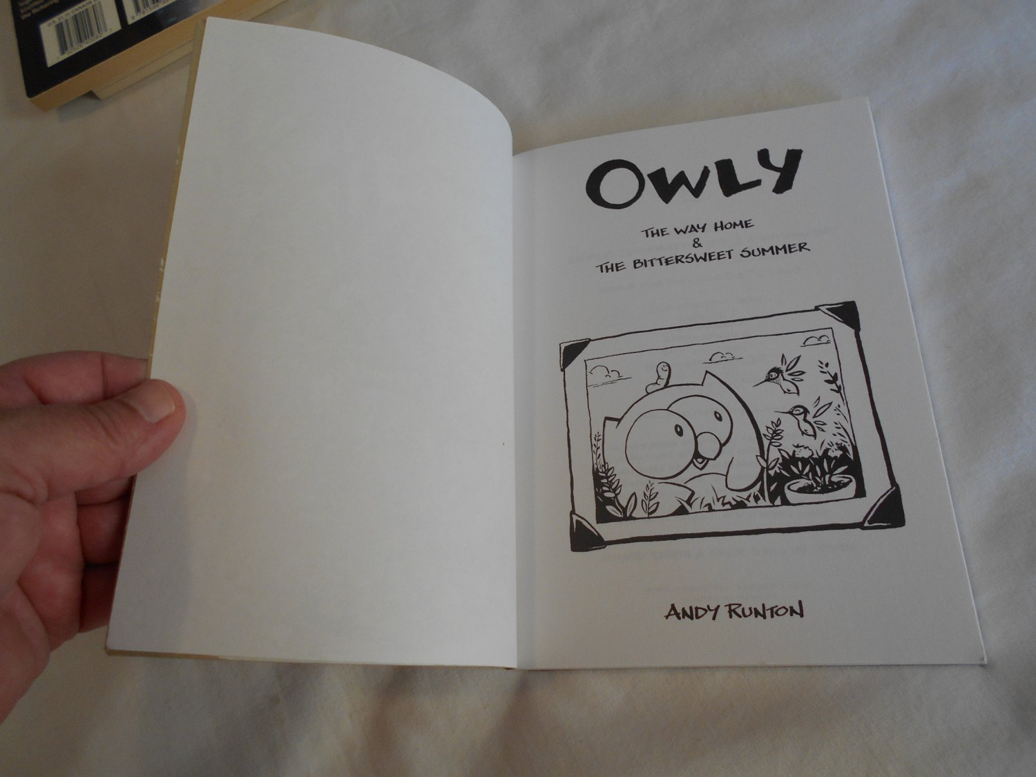 owly the way home book
