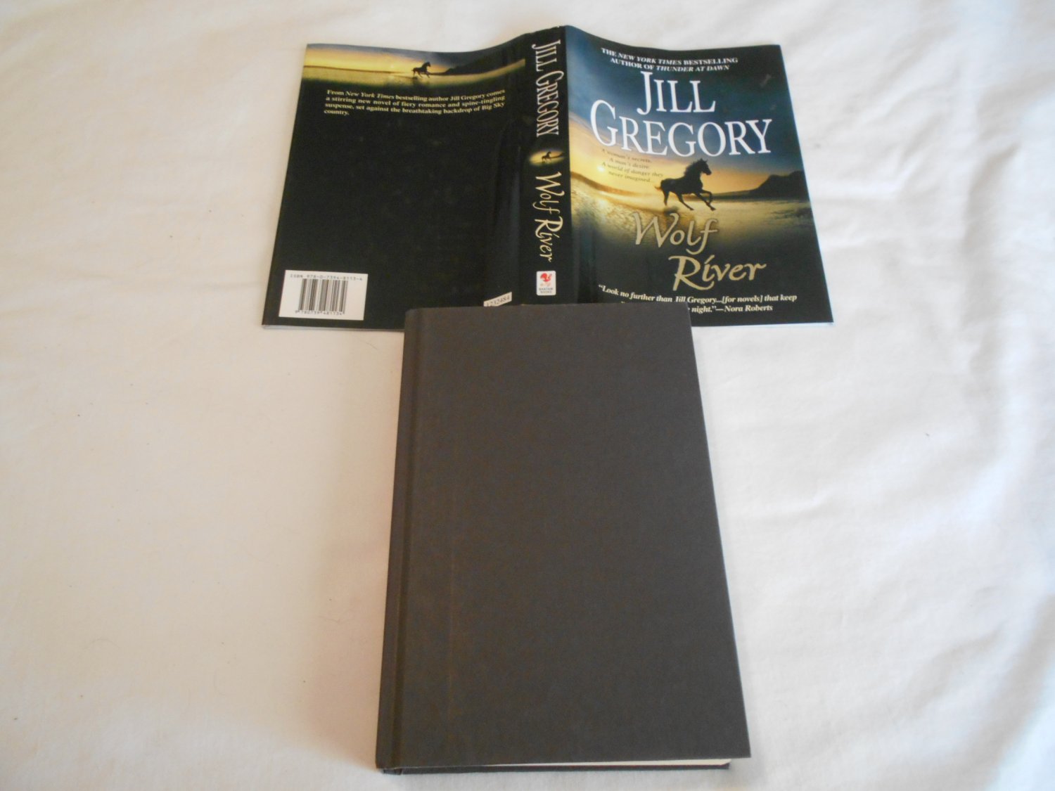 wolf-river-by-jill-gregory-2007-b37-romantic-suspense-romance