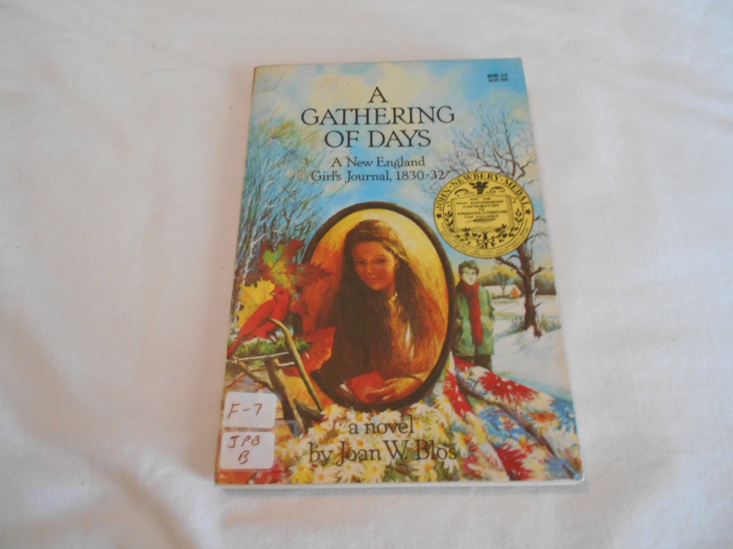 a gathering of days by joan w blos