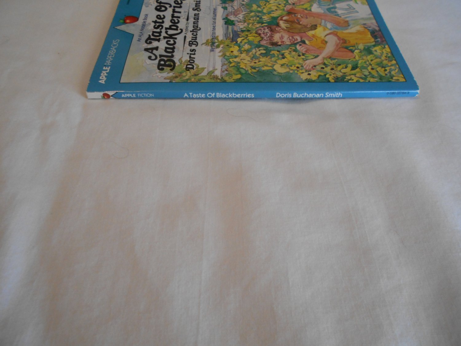 a taste of blackberries by doris buchanan smith a taste of blackberries by doris buchanan smith