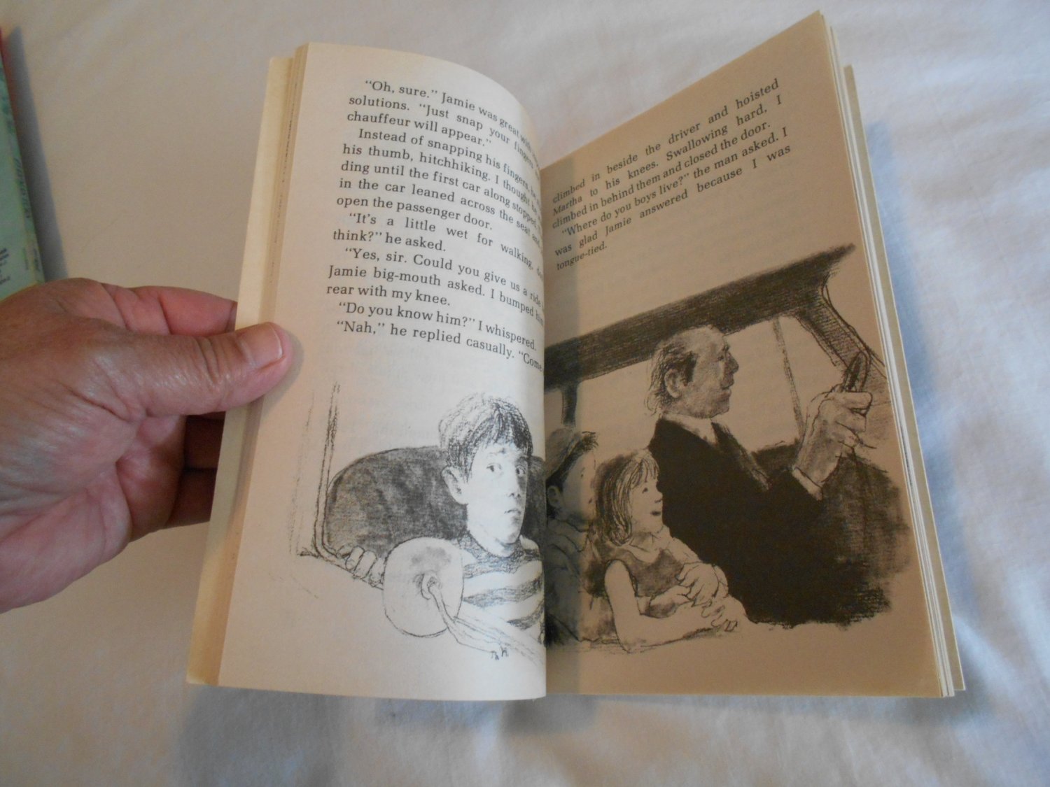 a taste of blackberries by doris buchanan smith a taste of blackberries by doris buchanan smith