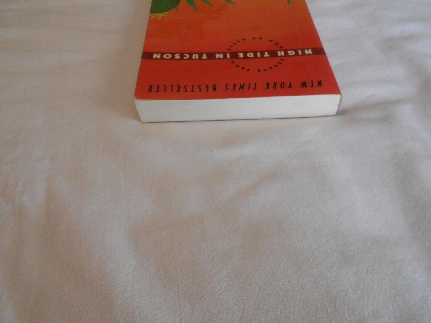 Essaypro reviews picture