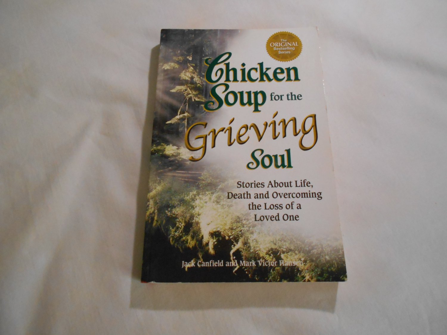 Chicken Soup for the Grieving Soul by Jack Canfield, Mark Victor Hansen (2003) (83) Inspirational