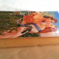 The Shore Unknown by Coral Smith Saxe (1997) (R23a8) Leisure Books PB