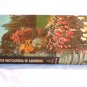 New Illustrated Encyclopedia of Gardening Vol. 8 Ora-Pic by T. H. Everett  (1960) () HC