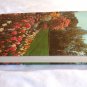 New Illustrated Encyclopedia of Gardening Vol. 9 Pic-Pro by T. H. Everett  (1960) () HC