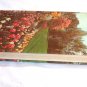 New Illustrated Encyclopedia of Gardening Vol. 14 Wat-Zyg by T. H. Everett  (1960) () HC