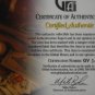 Chris Bosh SIgned Wilson's Full Size White Panel Basketball (GAI)