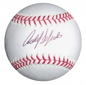 Carlos Delgado Signed Official Major League Baseball (Steiner)