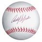 Carlos Delgado Signed Official Major League Baseball (Steiner)