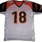AJ Green Signed Cincinnati Bengals Jersey (JSA)