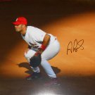 Albert Pujols Signed St. Louis Cardinals 16x20 Photo (MLB Holo)