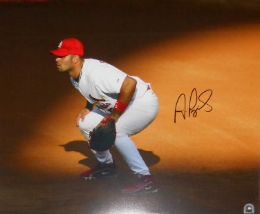 Albert Pujols Signed St. Louis Cardinals 16x20 Photo (MLB Holo)