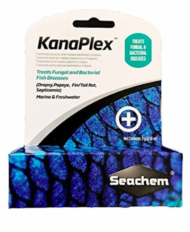 Seachem 3 Piece Treatment Kit, 1-Focus, 1-Metroplex, and 1-Kanaplex (5 Grams Each)