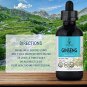 HERBAMAMA Asian Ginseng Herbal Extract Tincture - Organic Liquid Daily Supplement Supporting Energy