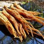 Red Panax Ginseng 1-16oz | 6 Year Old Whole Roots | Korean Red Ginseng | Premium Grade