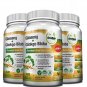 Panax Ginseng + Ginkgo Biloba Tablets – Premium Non-GMO/Veggie Superfood – Traditional Energy