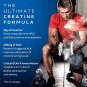 Muscle Builder | MuscleTech Muscle Builder | Muscle Building Supplements